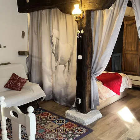 Potes Vinon - By Interhome * Tama